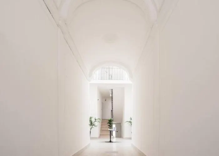 Guesthost - Vgm Gimma Bari